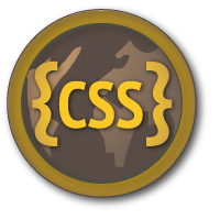 Write basic CSS