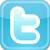 Twitter Logo Pin